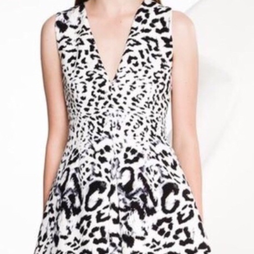 NWT leopard print fit n flare dress